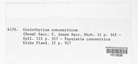 Coniothyrium concentricum image
